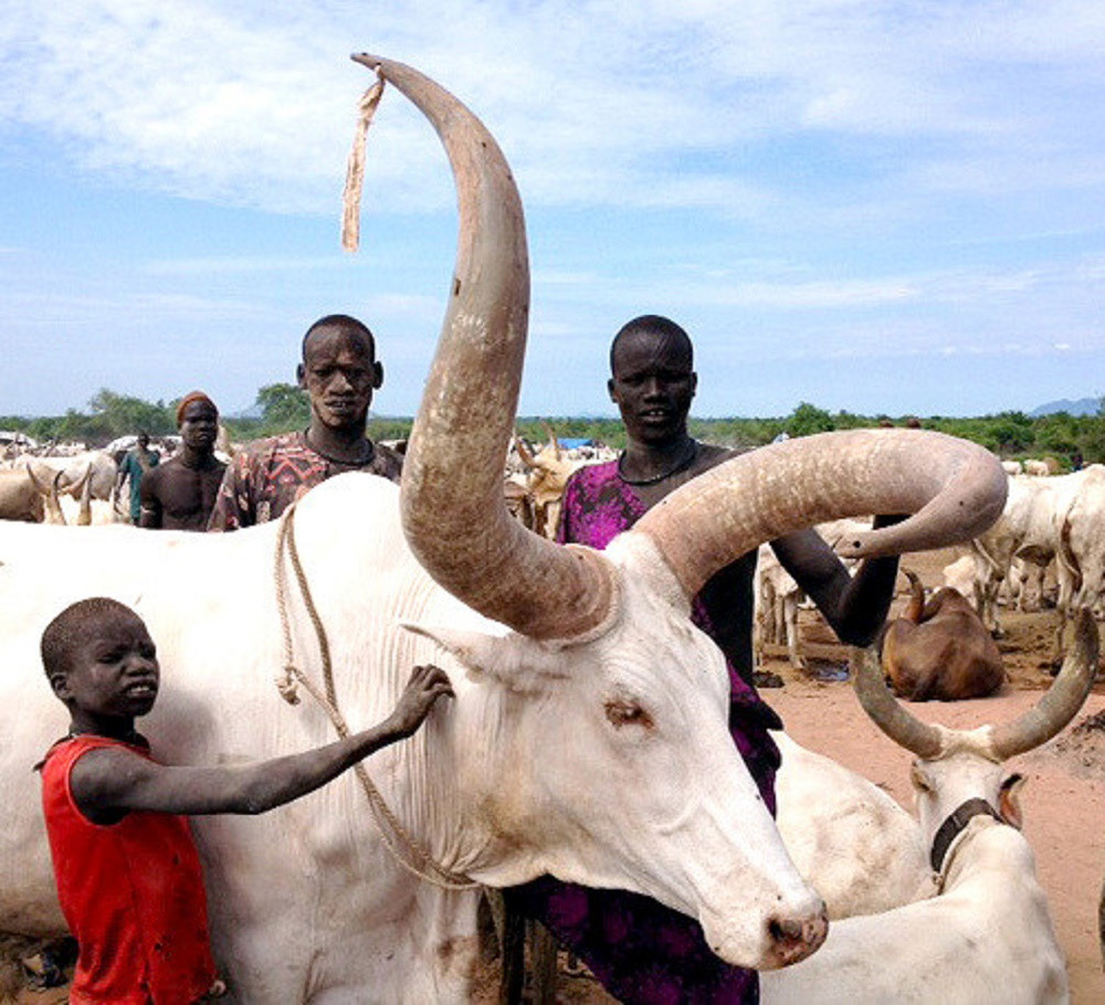 US Army Africa/CC BY 2.0
