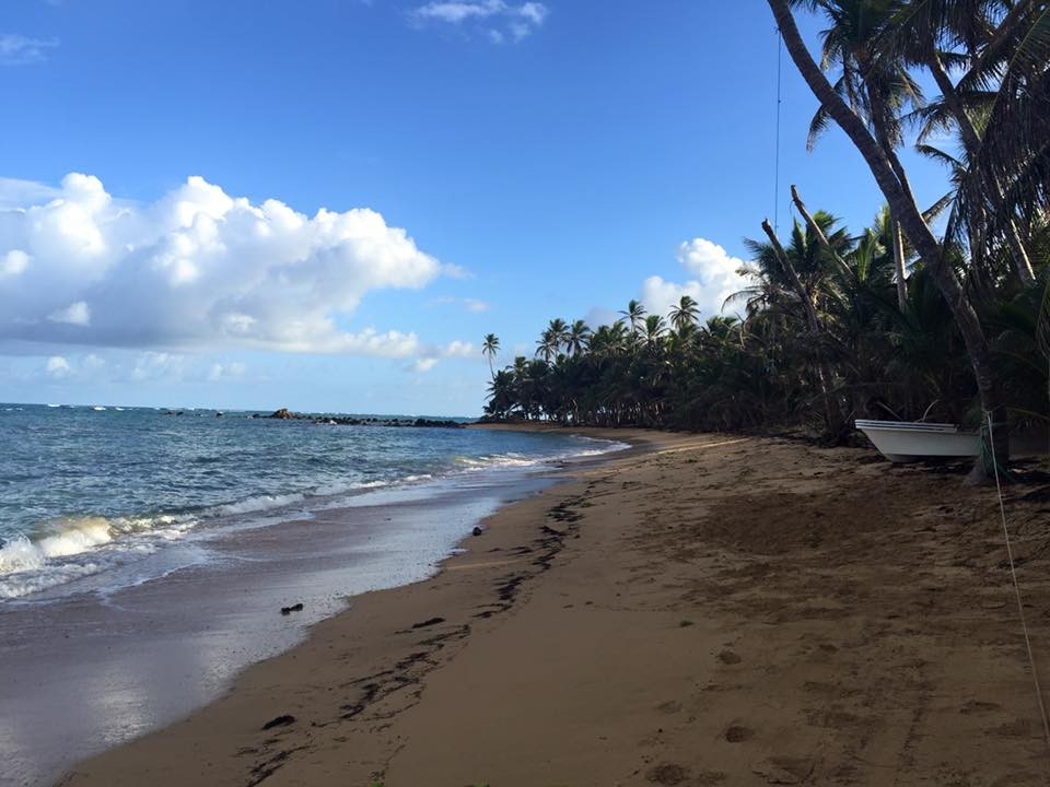 afternoon beach