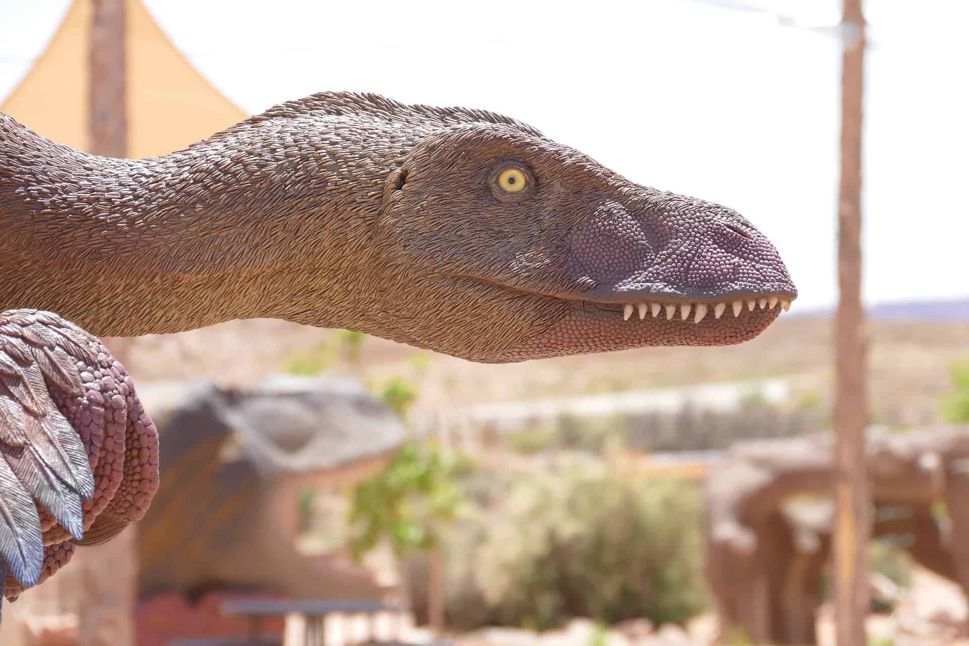 dinosaur Fast facts Mongolia Sasha Gayer battleface.com