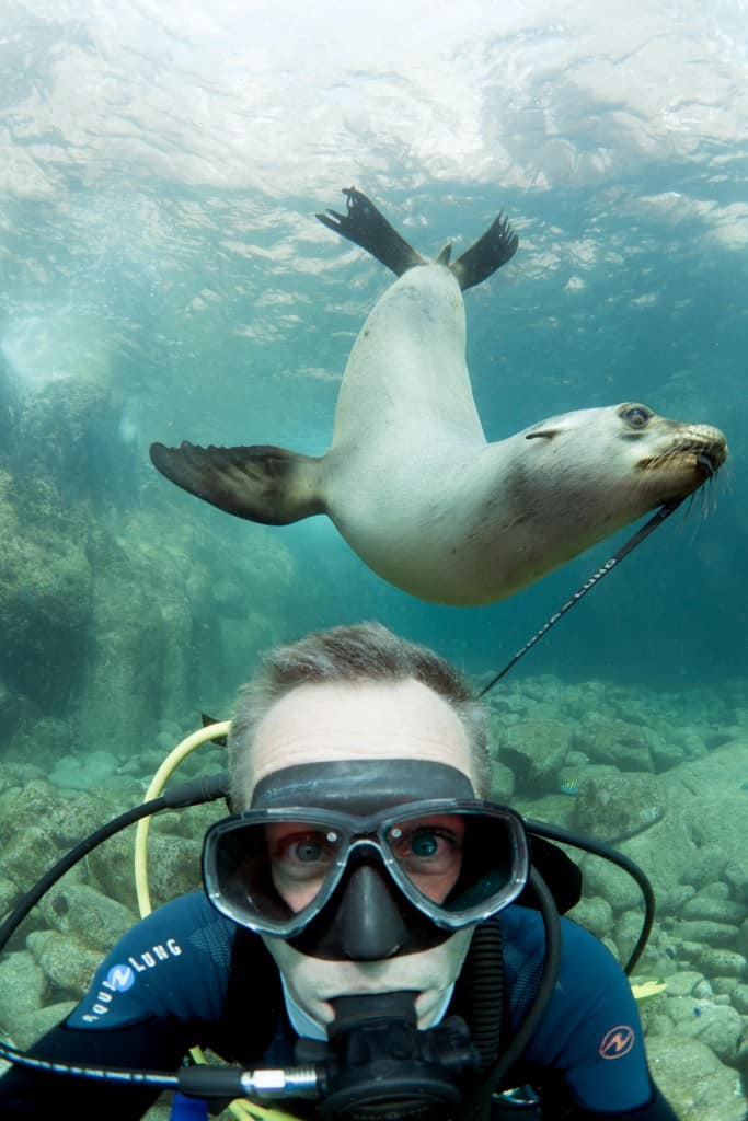 sea lion The spirited journeys of globetrotting Canadians Kim Wright battleface.com