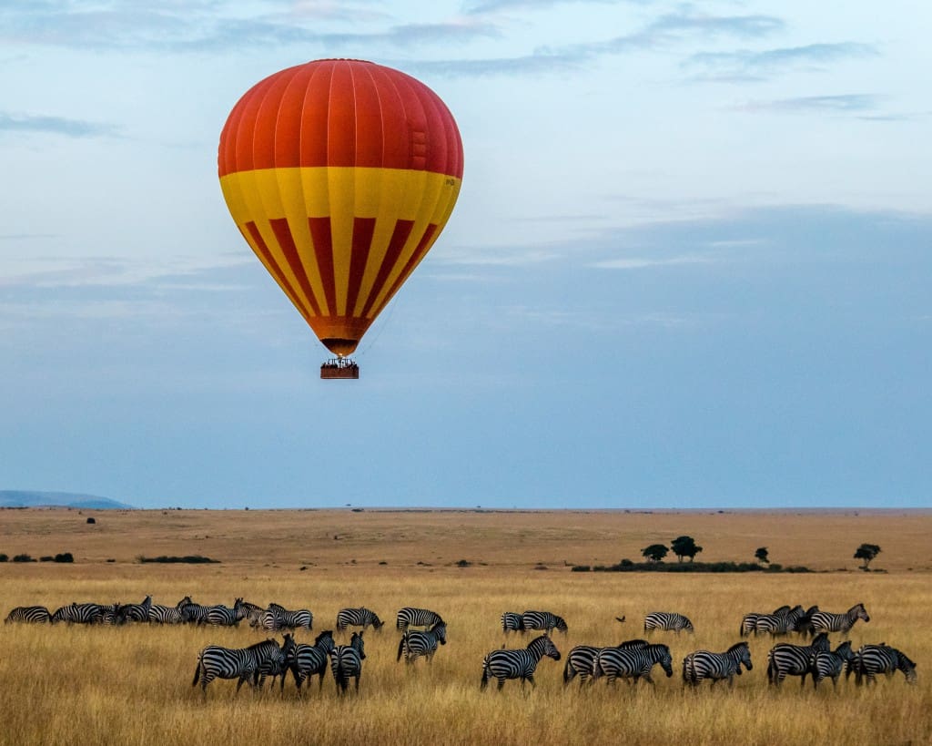 safari Travelling solo Laura Wallwork battleface.com