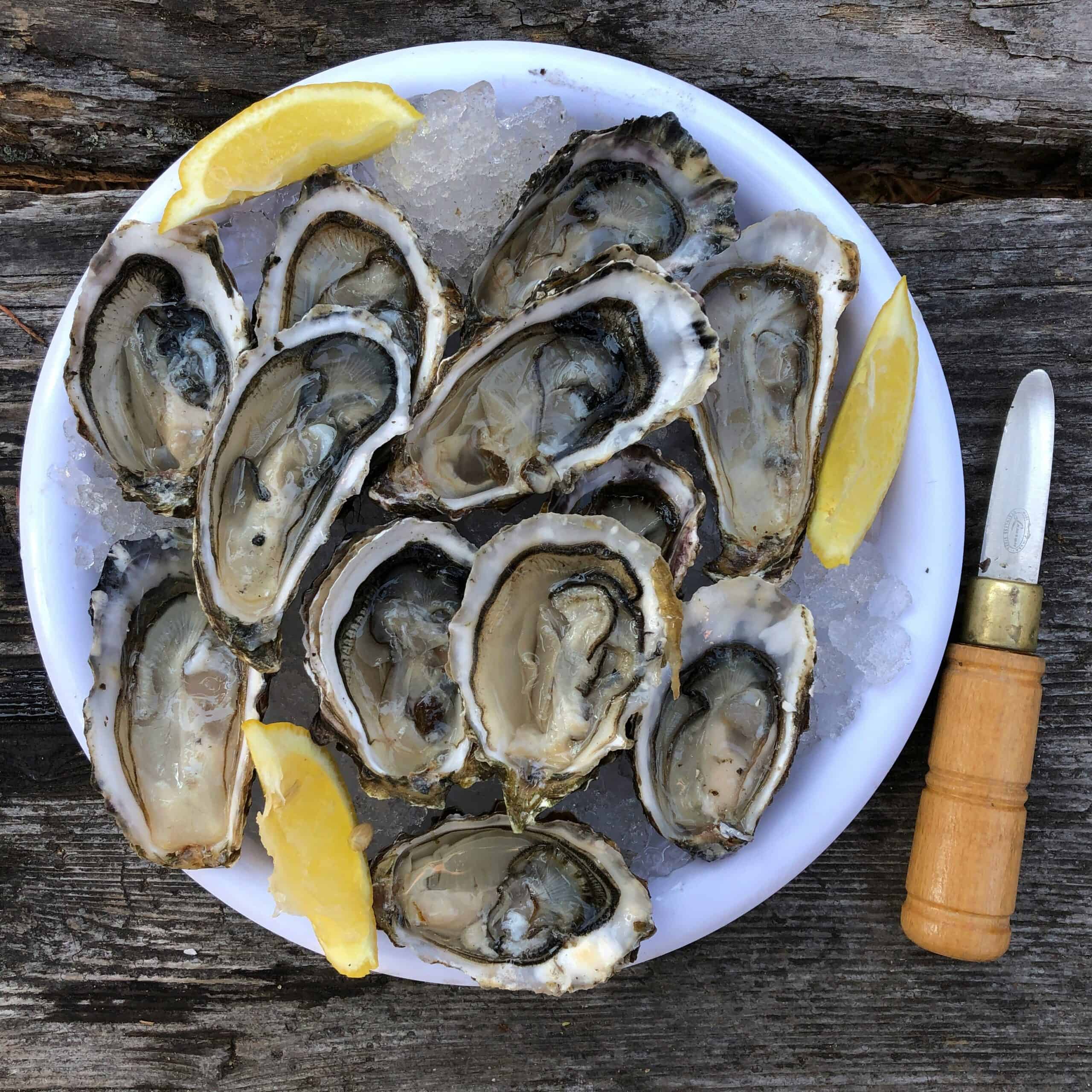 oysters The best UK beach huts for seafoodies Laura Wallwork battleface.com