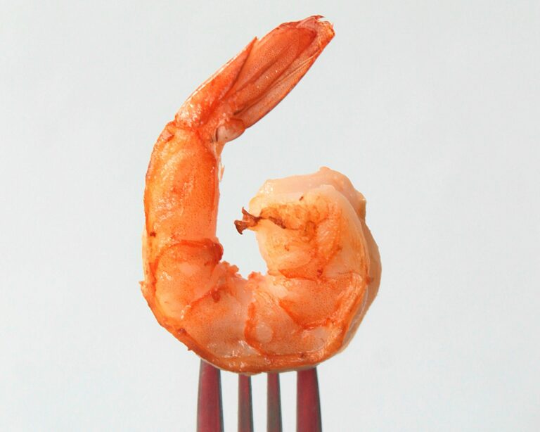 prawn